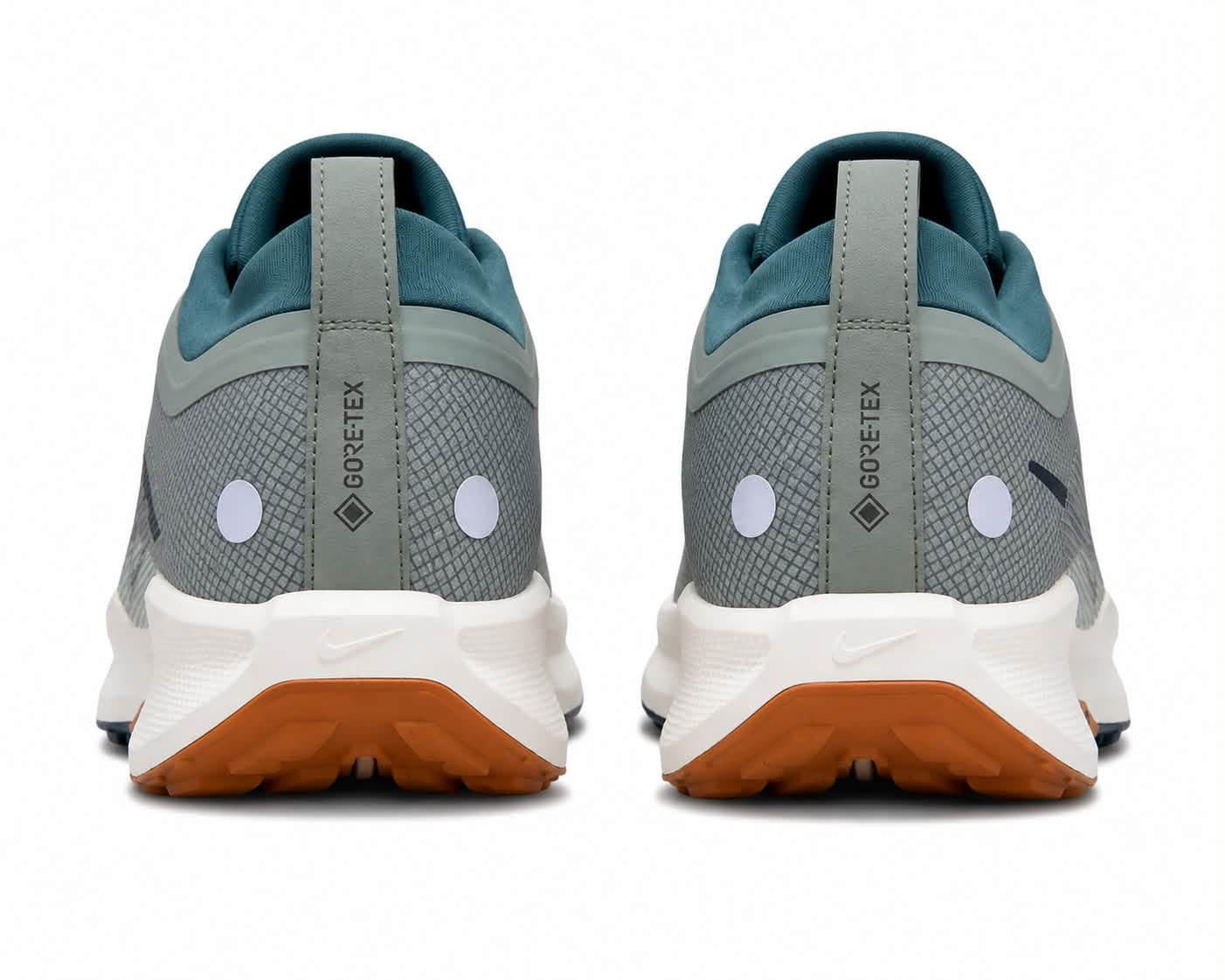 Nike Pegasus Trail 5 GORE-TEX