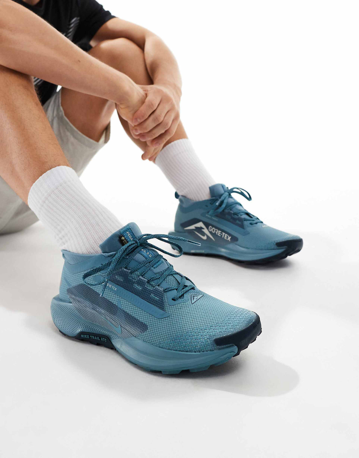 NIKE PEGASUS TRAIL 5 GORE-TEX  BLUE