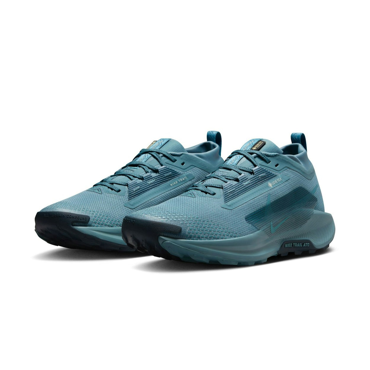 NIKE PEGASUS TRAIL 5 GTX HOMME