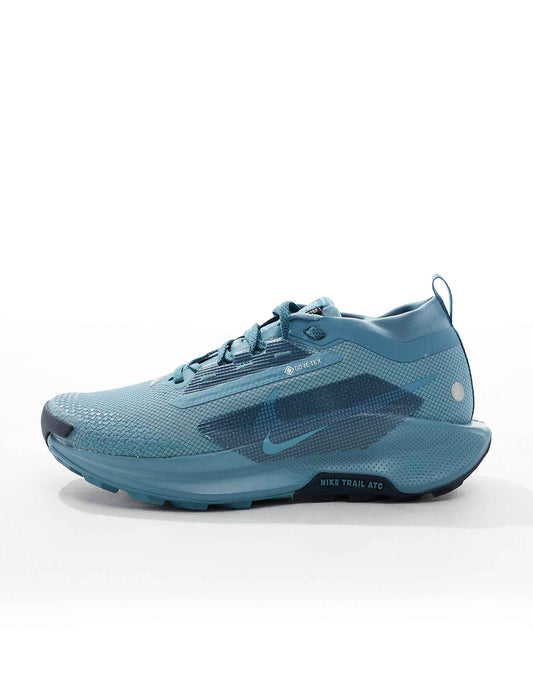 NIKE PEGASUS TRAIL 5 GORE-TEX  BLUE