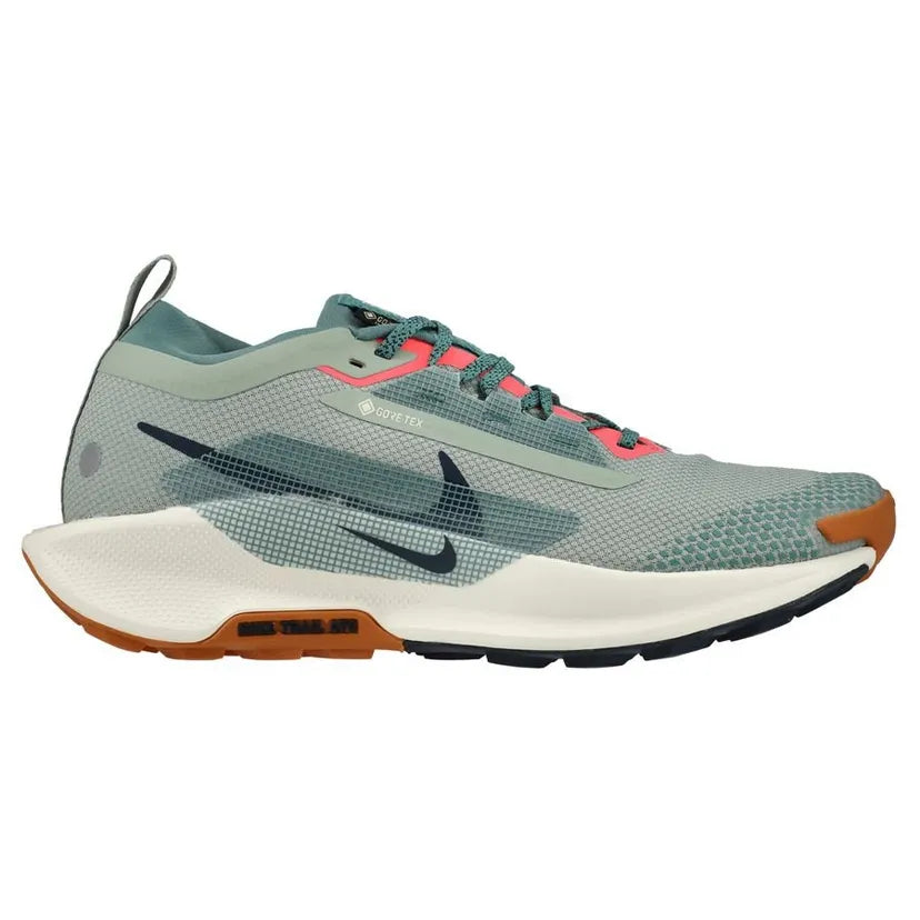 NIKE PEGASUS TRAIL 5 GORE-TEX  BLUE